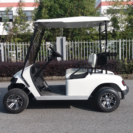 LS2024K--2 seater electric golf cart
