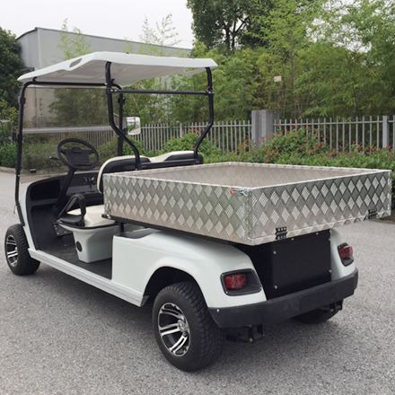 LS2044HCX--2 seat electric utility golf cart with lifted rear box