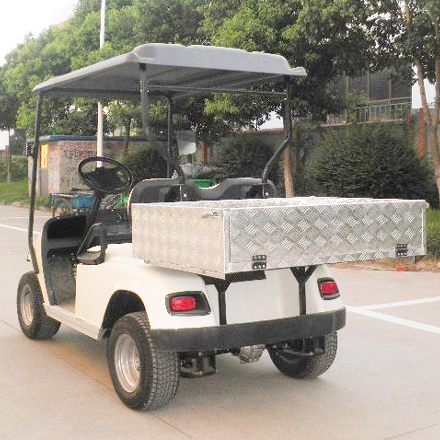 LS2024H--2 seater mini electric utility golf cart