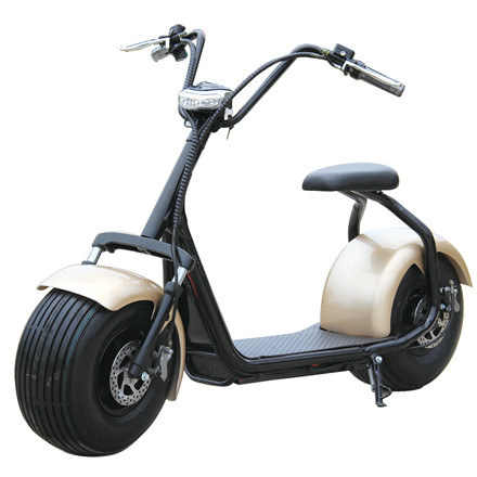 LM101 -- Single Seat Electric Citycoco Scooter