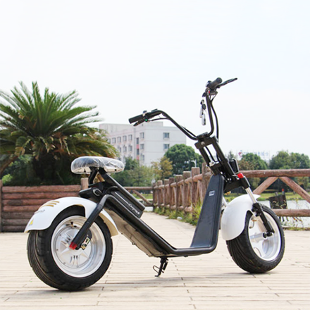 LM104--Harley Style Electric Citycoco Scooter