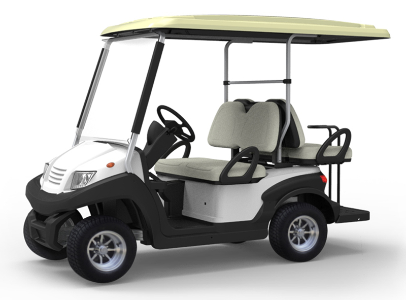 EG202AKSF-- 4 Passenger Modern Personal Golf Club Cart