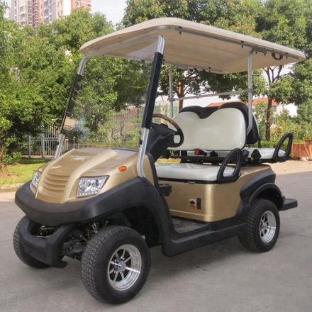 EG202AKSF-- 4 Passenger Modern Personal Golf Club Cart