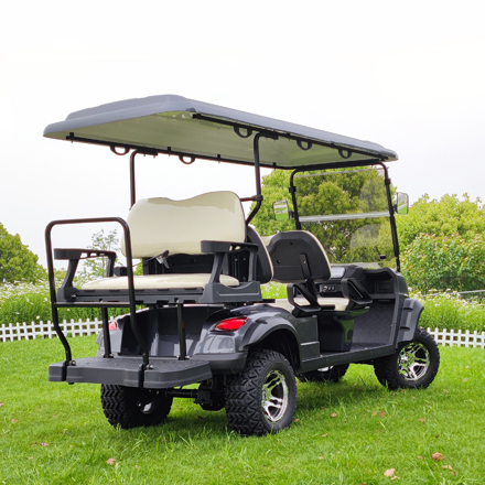 LS2040ASZ--6 Seats Lithium Battery Powered Lifted Golf Cart