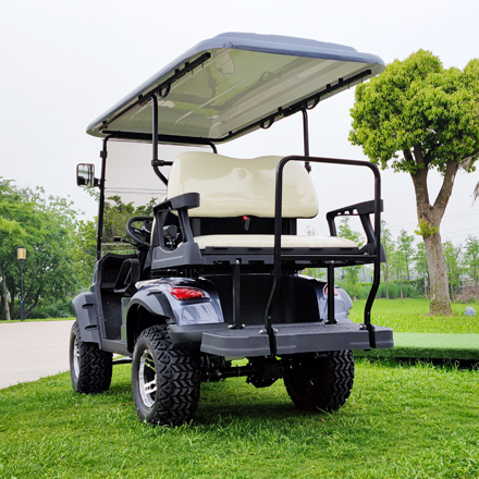 LS2020ASZ-- 4 Seats Electric Lifted Golf Cart