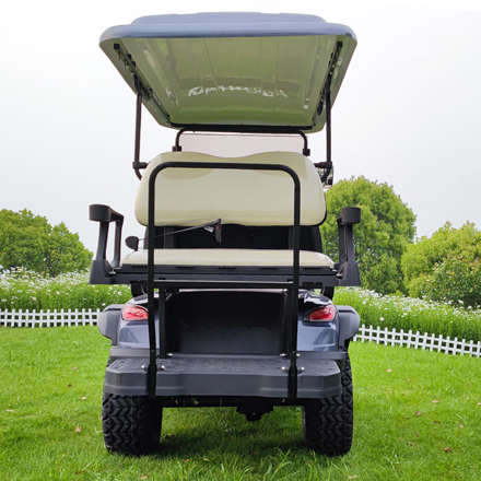 LS2020ASZ-- 4 Seats Electric Lifted Golf Cart