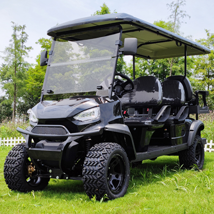 LS2040ASZ--6 Seats Lithium Battery Powered Lifted Golf Cart