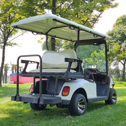 LS202AKSZ--4 Seats Electric Golf Cart