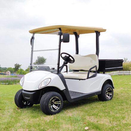 LS202AH--Lithium Battery Utility Golf Cart